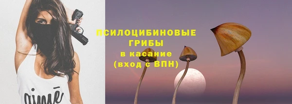не бодяженный Аркадак