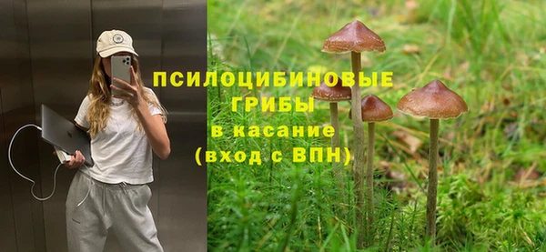 не бодяженный Аркадак